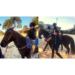 Alunos do CEMAE realizam atividades de Equoterapia pela Rede Municipal de Ensino